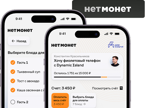 Интерфейс сервиса Нетмонет